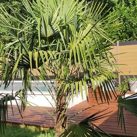 Toulousaine Calme Espace Detente וילה