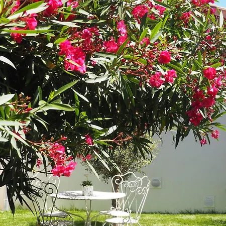 Toulousaine Calme Espace Détente Villa