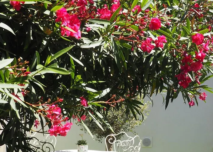 Toulousaine Calme Espace Detente Villa